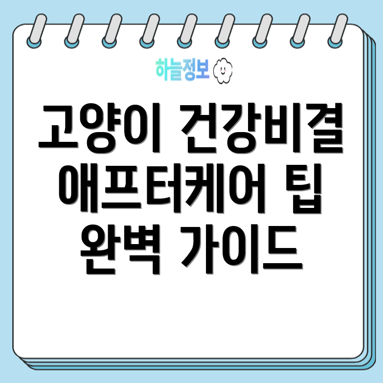 고양이 건강 검진