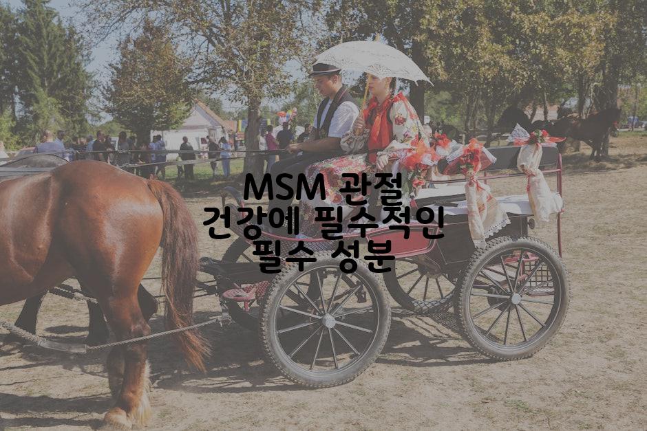 MSM 관절 건강에 필수적인 필수 성분