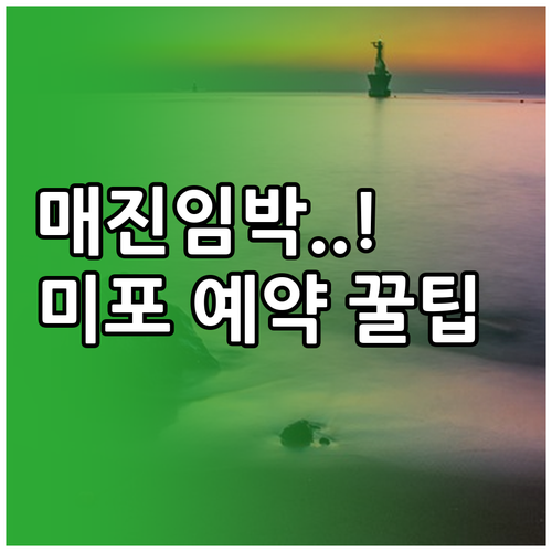 해운대 스카이캡슐 미포 정거장 예약 ..