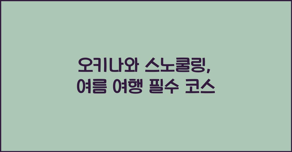 오키나와 스노쿨링