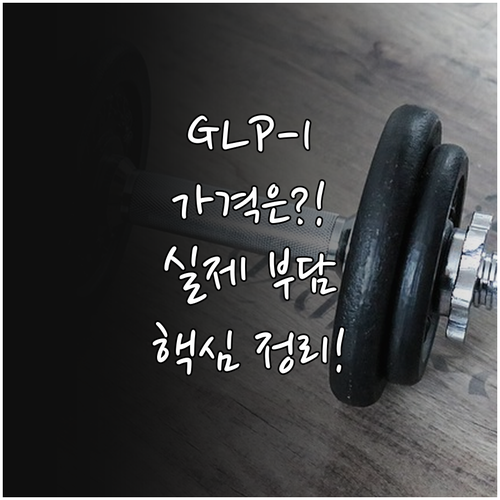 GLP-1 비만 주사제 가격 비교 비..
