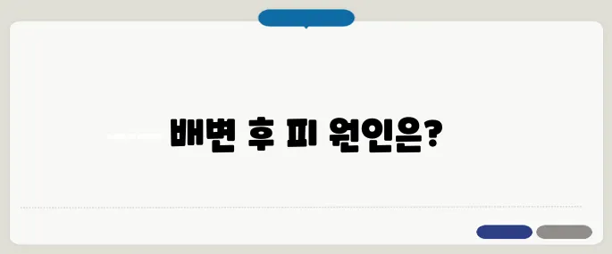 치질 증상 자가진단 배변 후 피가 묻는다면 의심