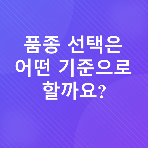 방울토마토 키우기_3