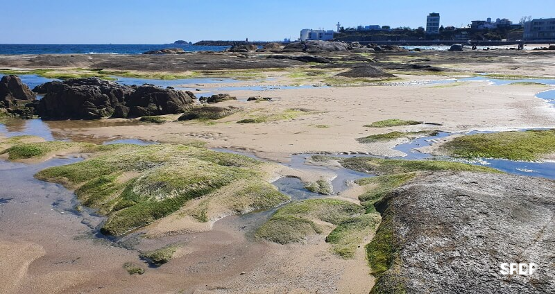아야진-해변-해수욕장-스위밍터틀-강원도-고성-오션뷰-카페