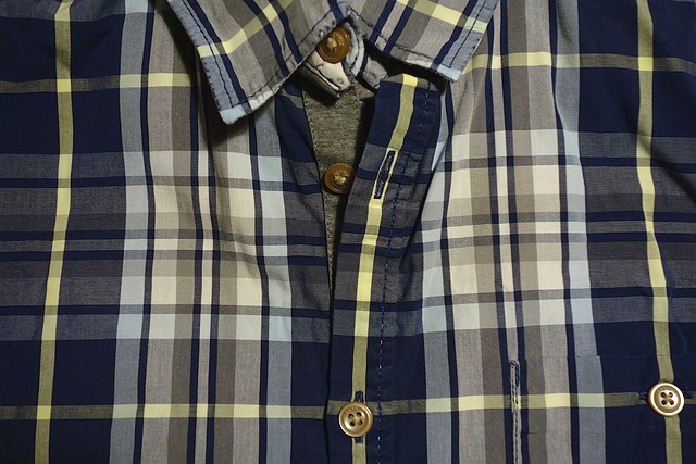 체크 셔츠 사진