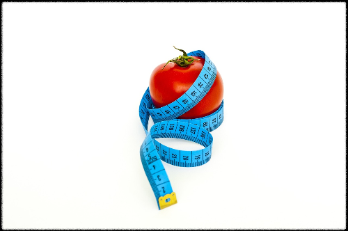 다이어트 체지방