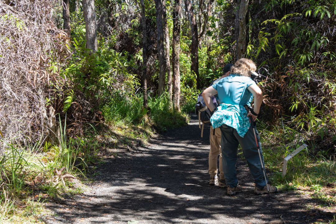칼라우에아 이키 전망대