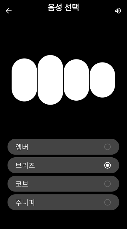 챗GPT 가 답변하는 음성을 엠버, 브리즈, 코드, 주니퍼 에서 선택