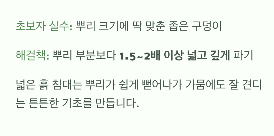 나무의 미래를 위한 구덩이 파기