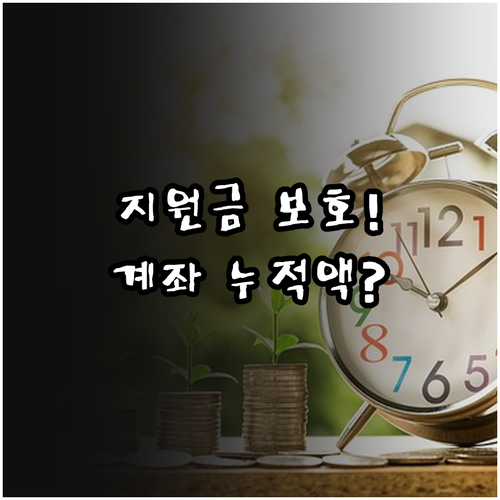 정부 지원금 보호를 위한 생계비계좌 ..