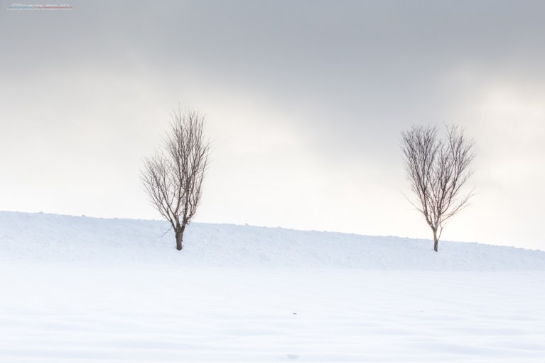 겨울 홋카이도 3박 4일