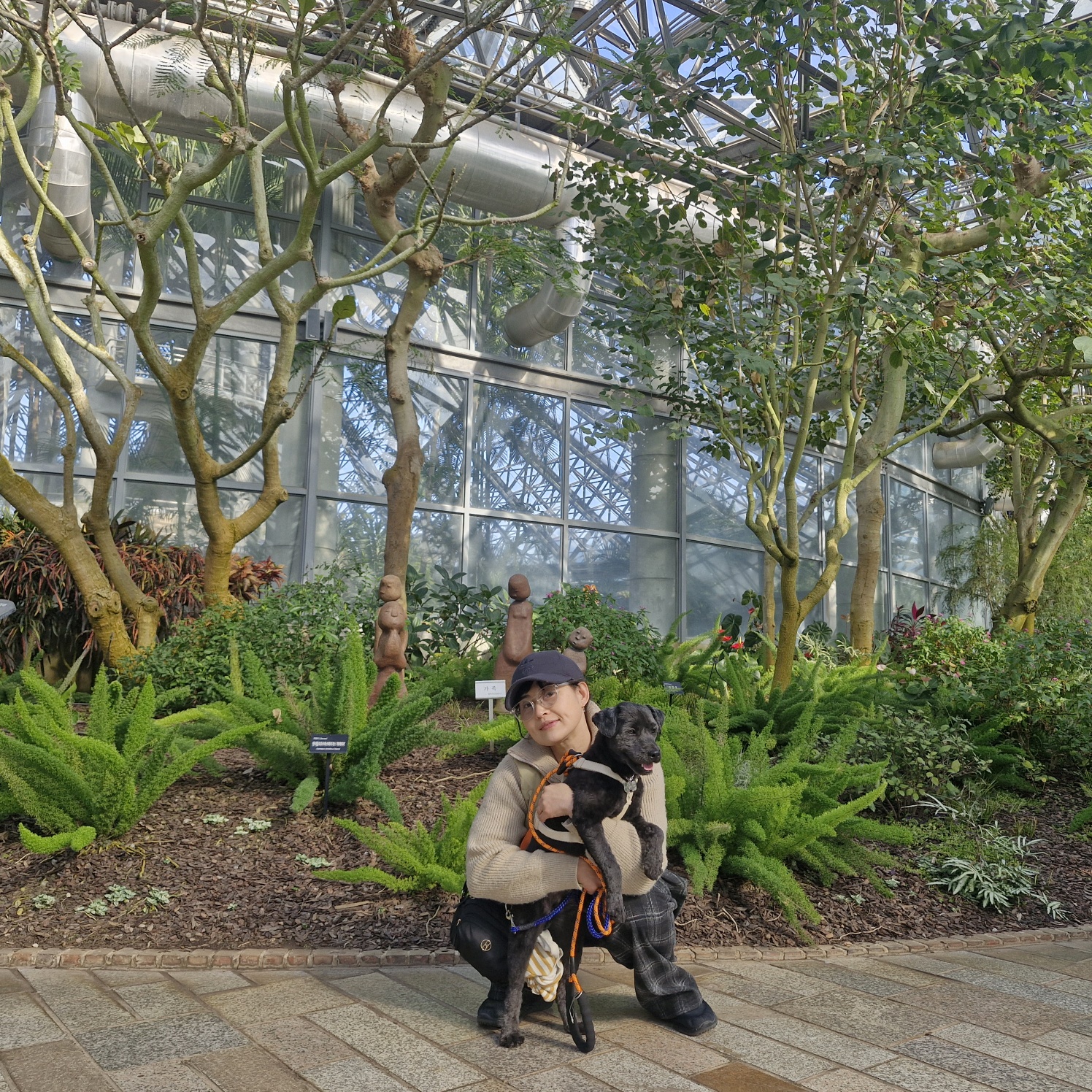 강아지 심장사상충&amp;#44; 단계별 증상 및 예방약&middot;치료약 비용 정리