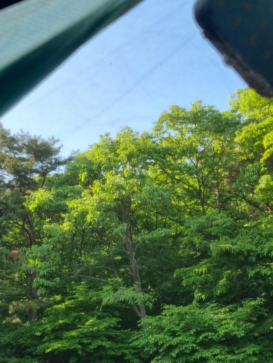 함허동천 경치