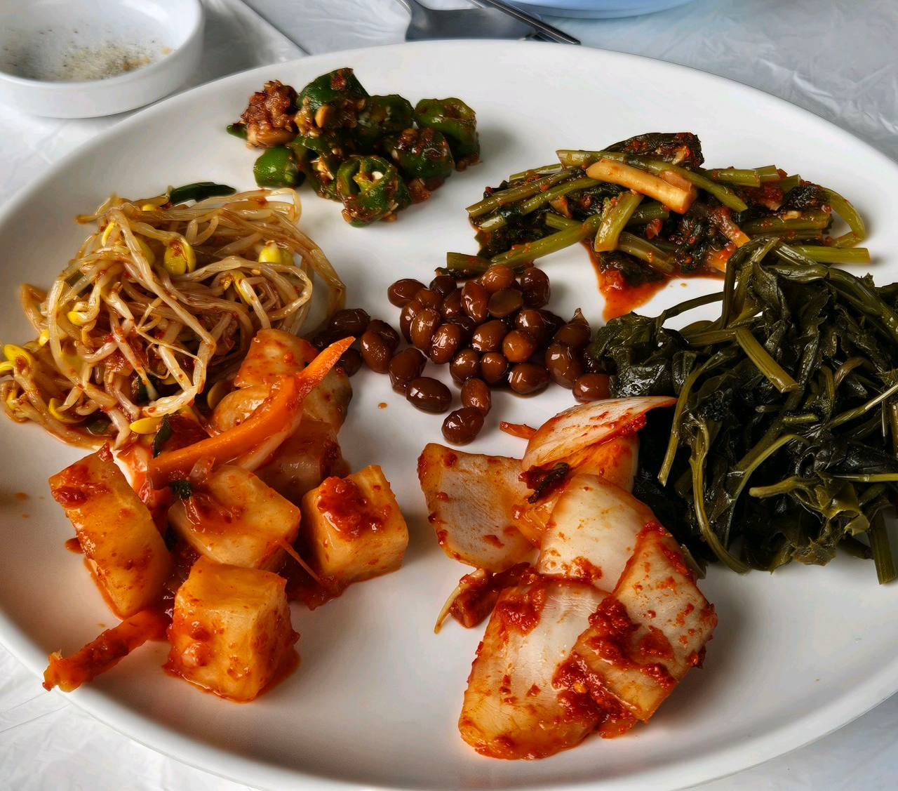 6시내고향 백숙