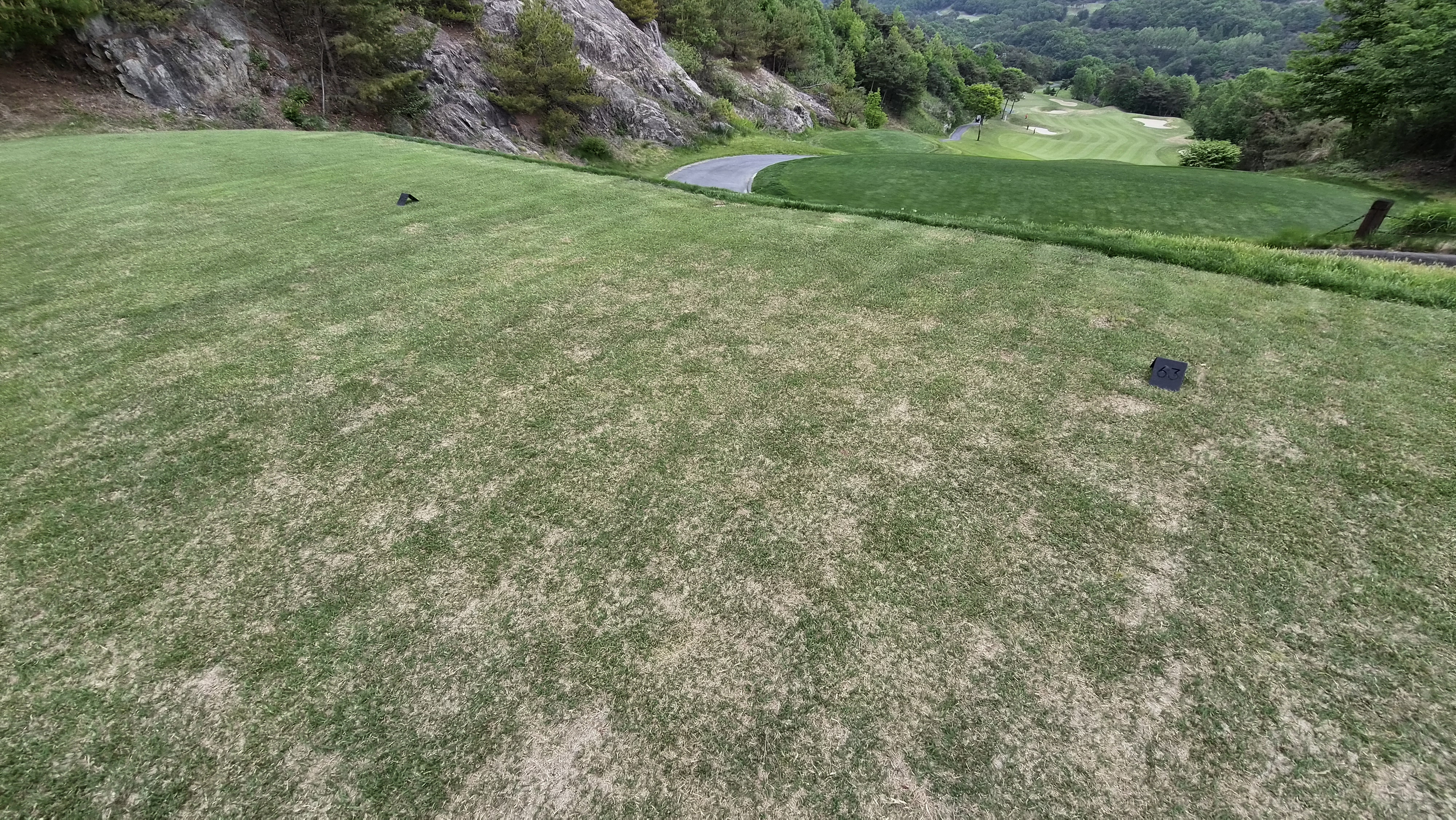 360도cc 티잉구역 상태