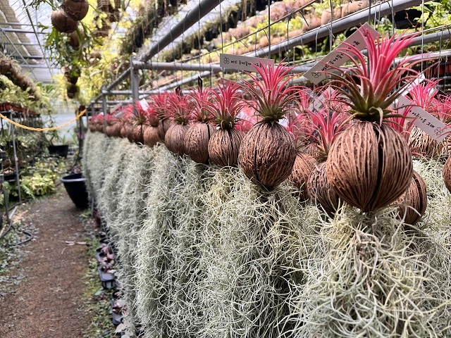 조인폴리아-쇼핑-센터