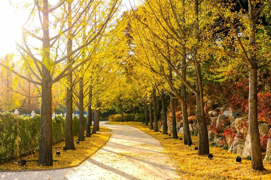 수원&middot;용인 단풍 명소 BEST 5 : 광교호수공원&middot;수원화성&middot;용인민속촌&middot;에버랜드&middot;용인자연휴양림