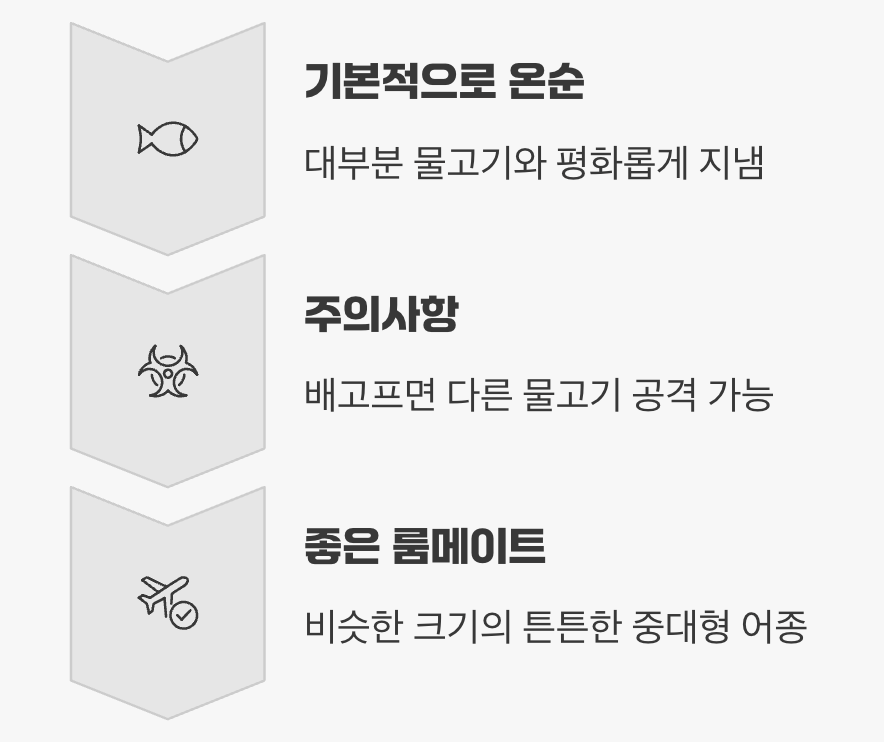 합사 - &amp;#39;순한 거인&amp;#39;의 조건부 평화