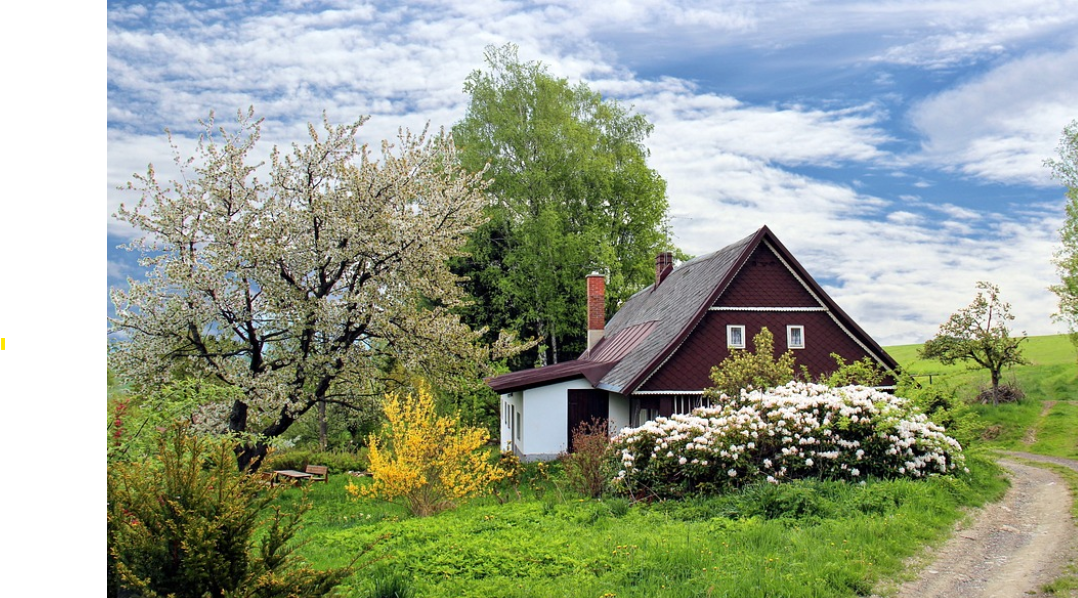 숲속에서의 하룻밤! 한적한 자연 속 감성적인 숲속 숙소