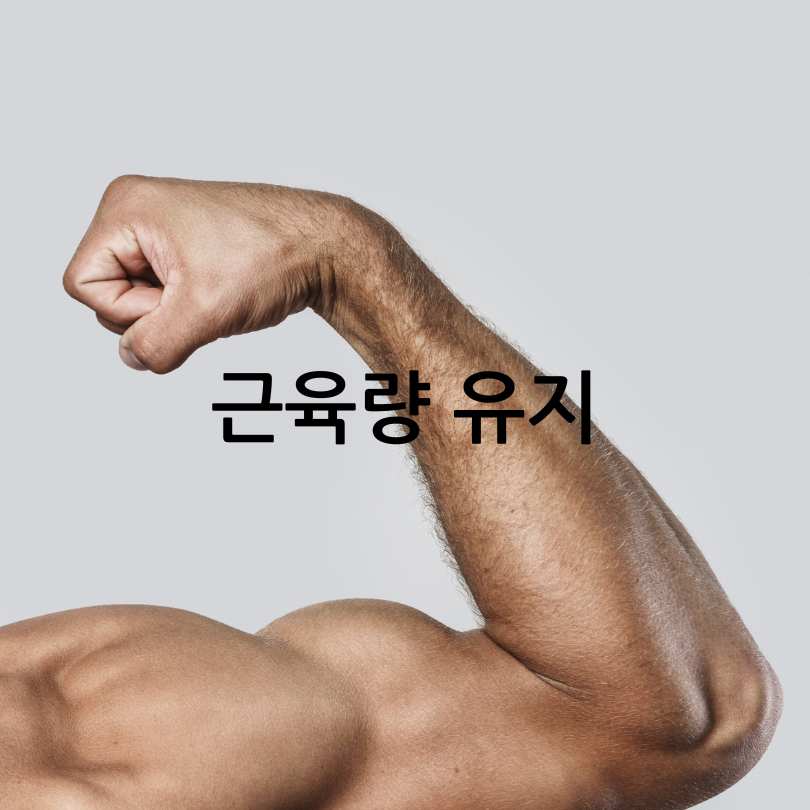 당독소다이어트