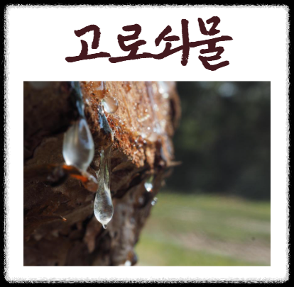 고로쇠물 효능