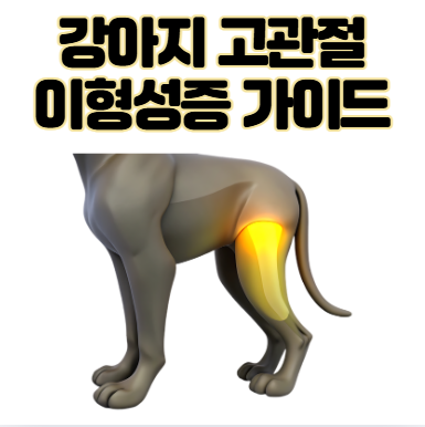 강아지 고관절 이형성증 원인, 예방법 수술 전 확인