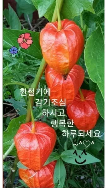 환절기 인사말 모음 예시 멘트_16