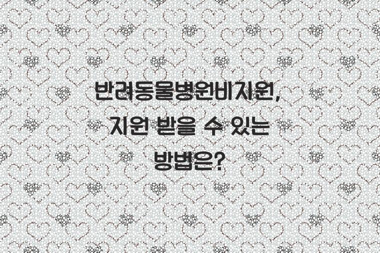 반려동물병원비지원