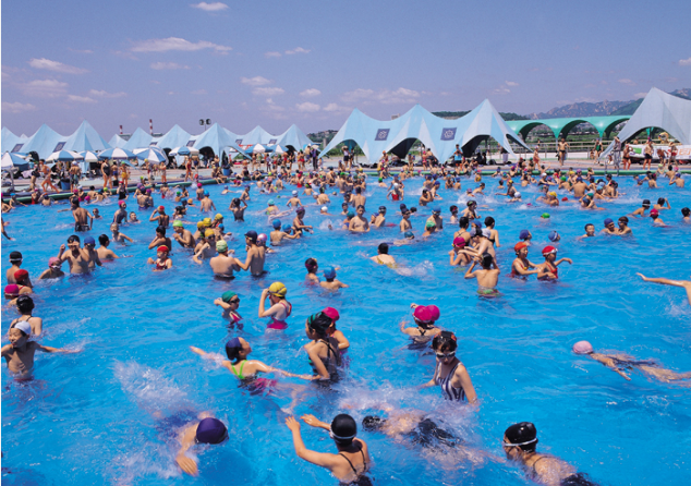 한강 수영장 이용 정보