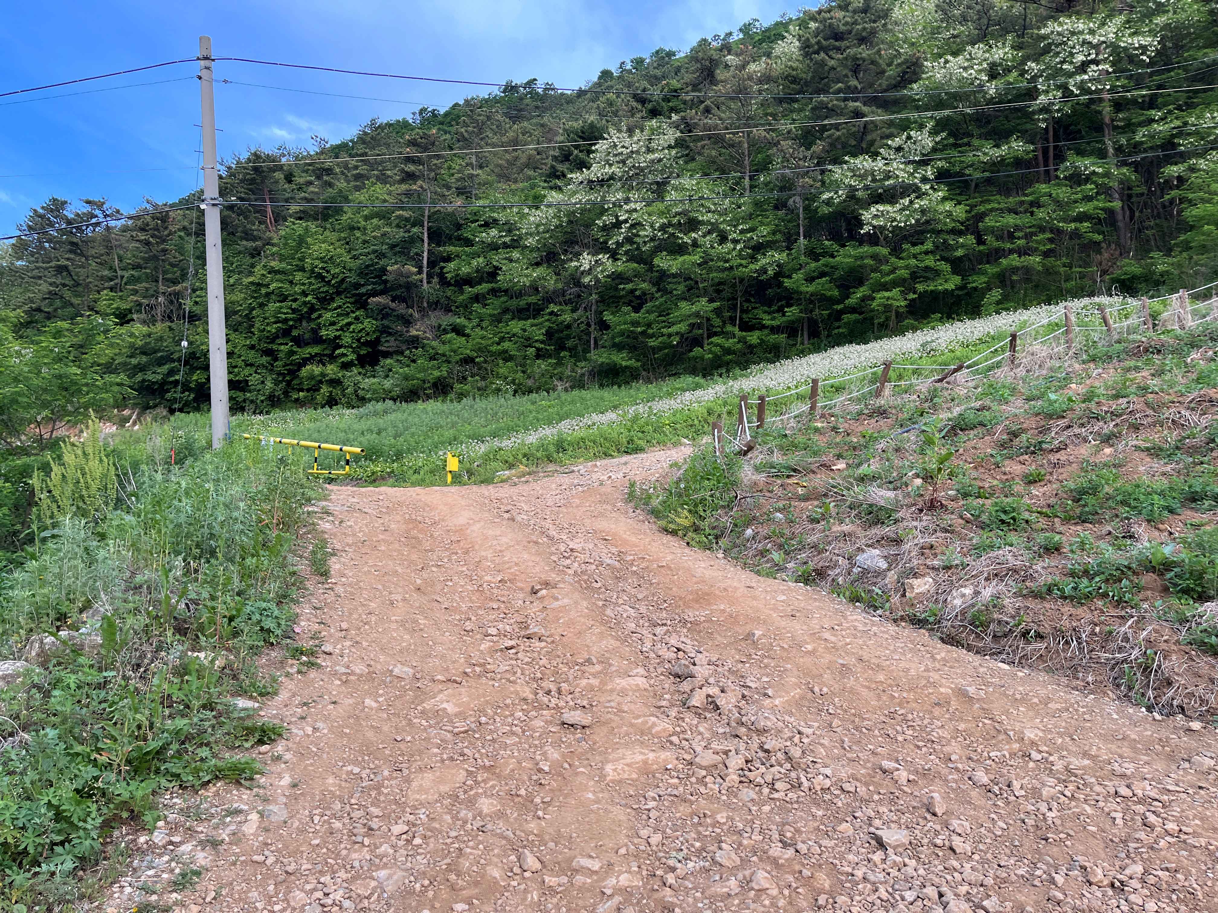 민둥산