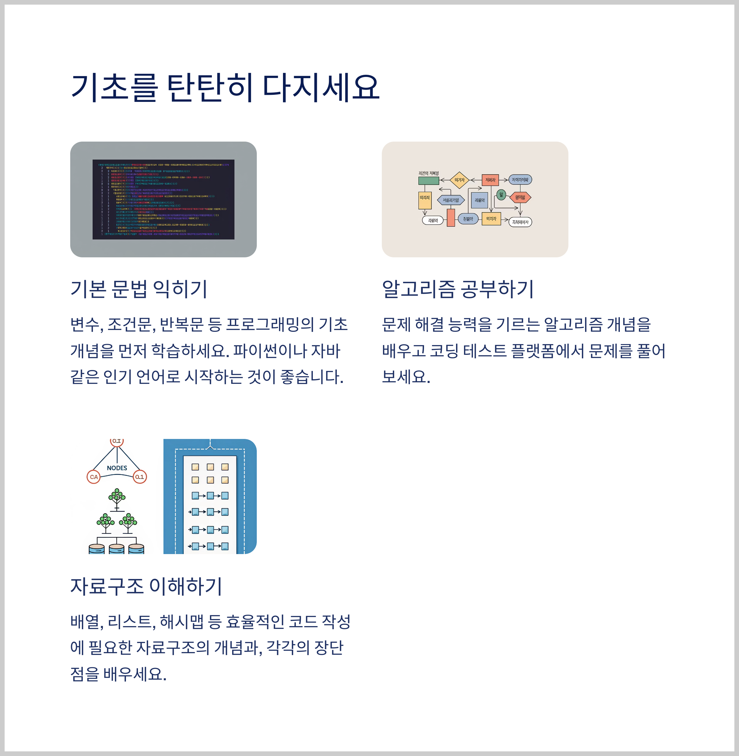 기초를 탄탄히 다지세요