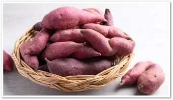 고구마 삶는법 맛있게 황금레시피 효능 칼로리_8