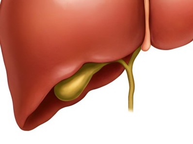 간경화 초기증상