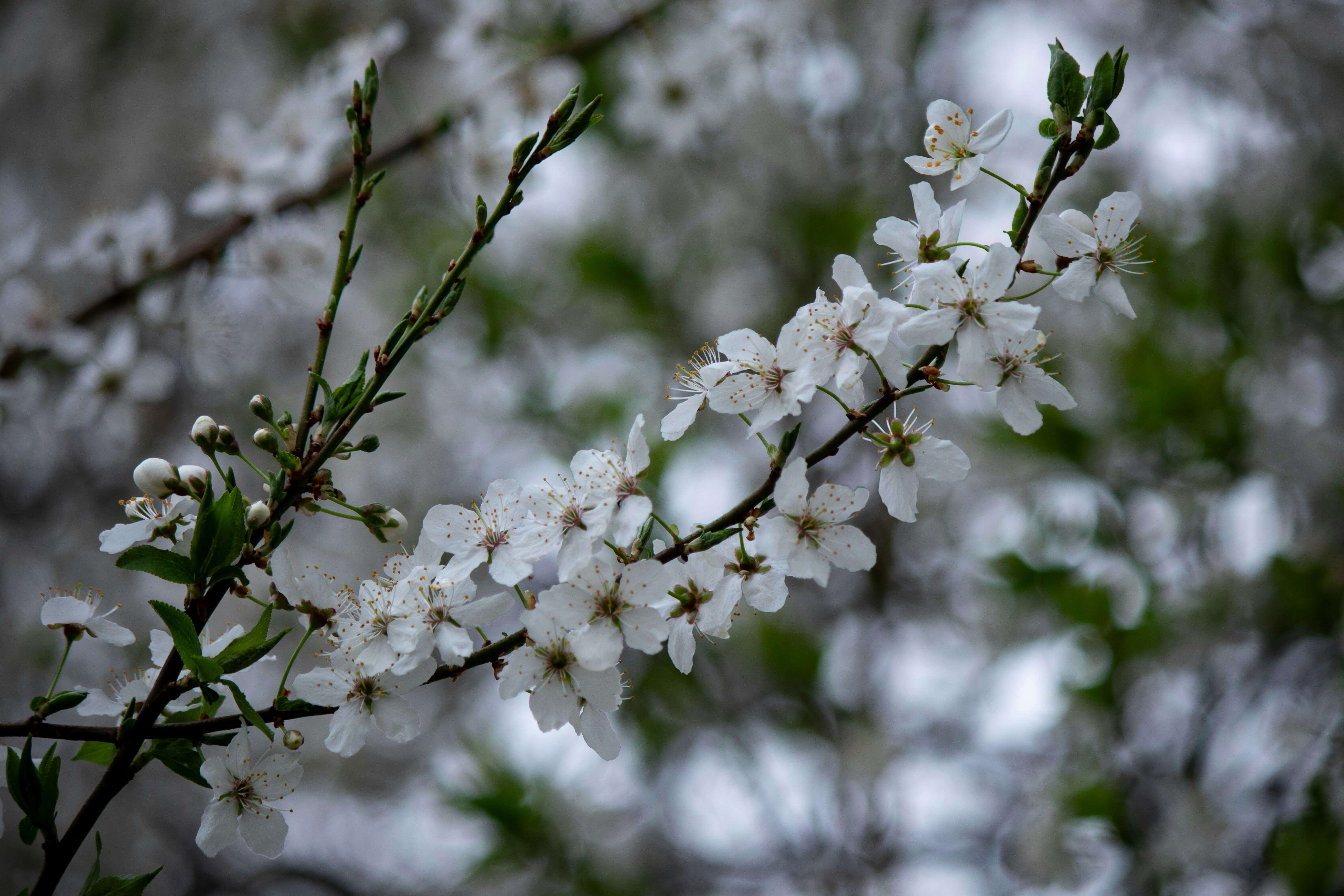 춘곤증 원인과 해결 방법&amp;#44; 봄철 피로가 계속되는 이유