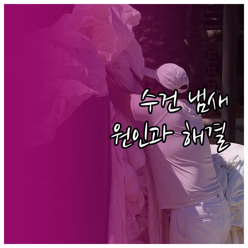 수건 냄새의 모든 것: 원인 분석부터..