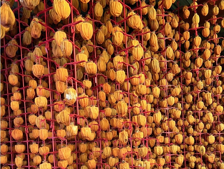 영동곶감축제 일정