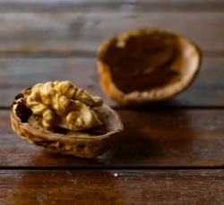 알부민 부작용 복용시간