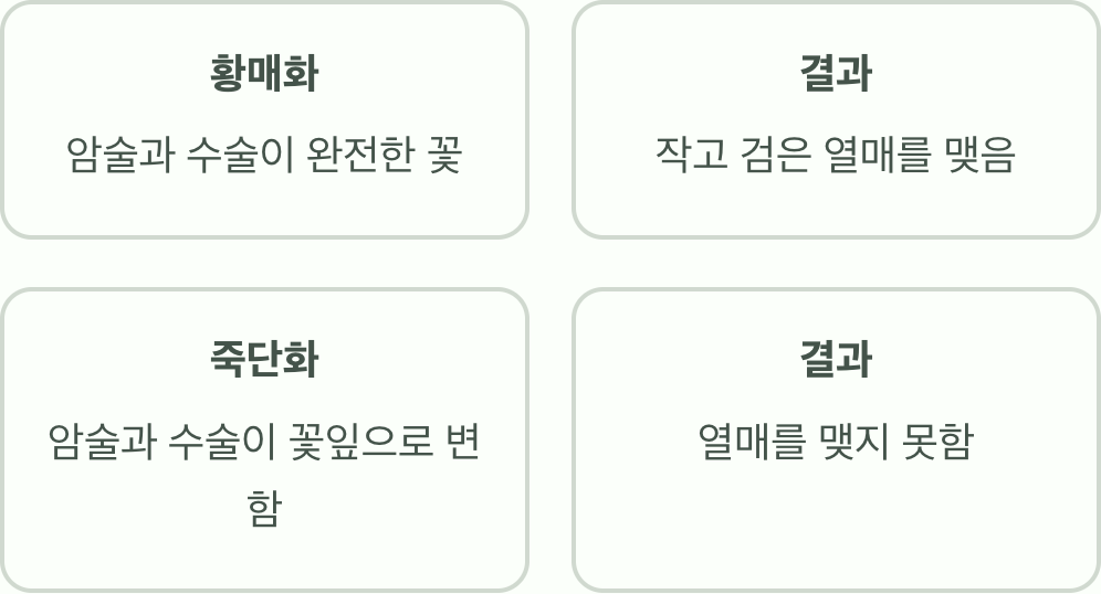 &amp;#39;열매&amp;#39;를 맺는 자와 맺지 못하는 자