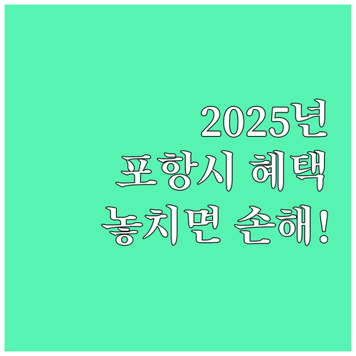 2025년 놓치면 손해 포항시 출산 ..