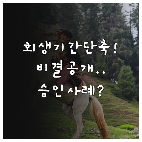 개인회생 변제 기간 단축 방법 및 승..