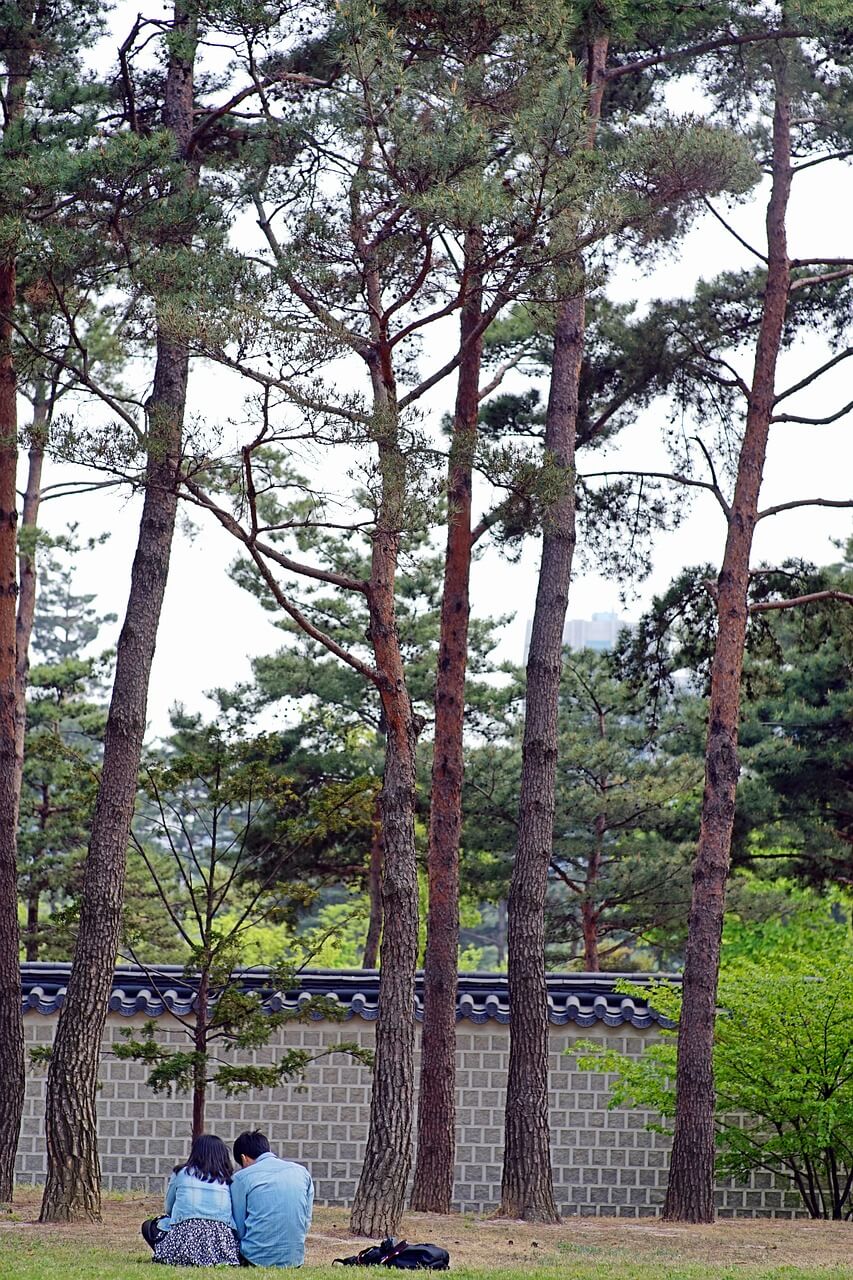 경복궁 야간개장 안내