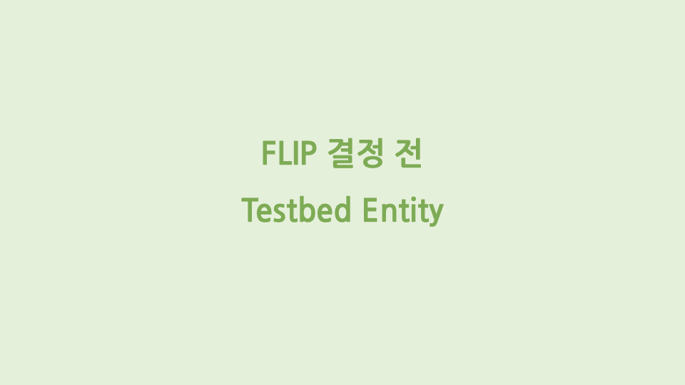 FLIP 결정 전 Testbed Entity