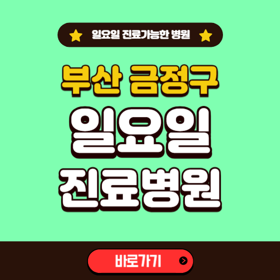 부산 금정구 일요일 진료 가능한 병원 ❘ 주말 문여는 곳 총정리 (소아과, 내과, 안과, 치과, 피부과, 정형외과, 산부인과)