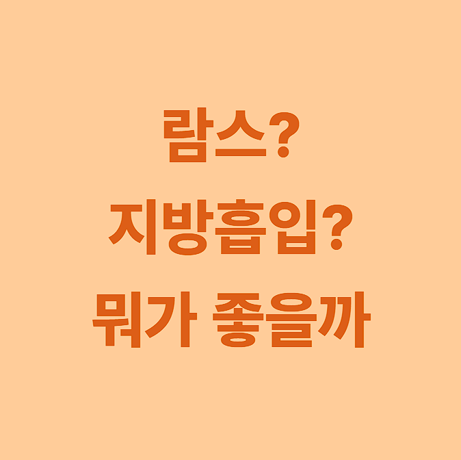 팔람스 후기