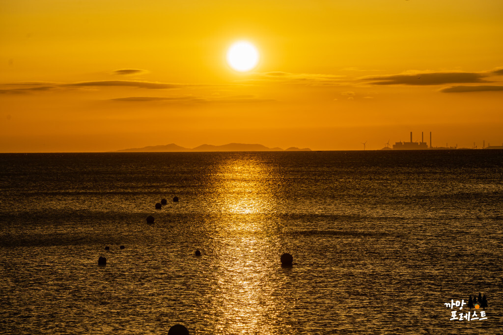 궁평항 윤슬