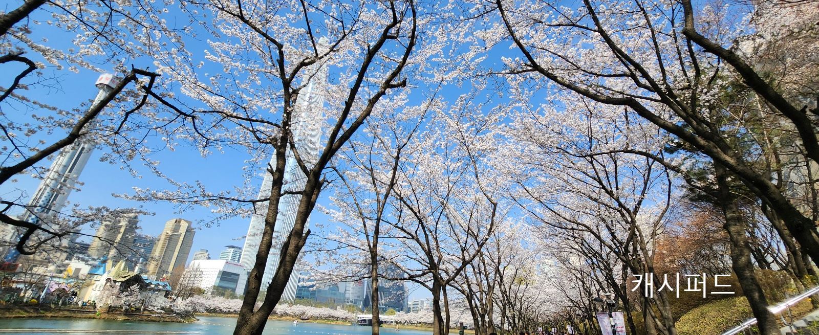 석촌호수 전경