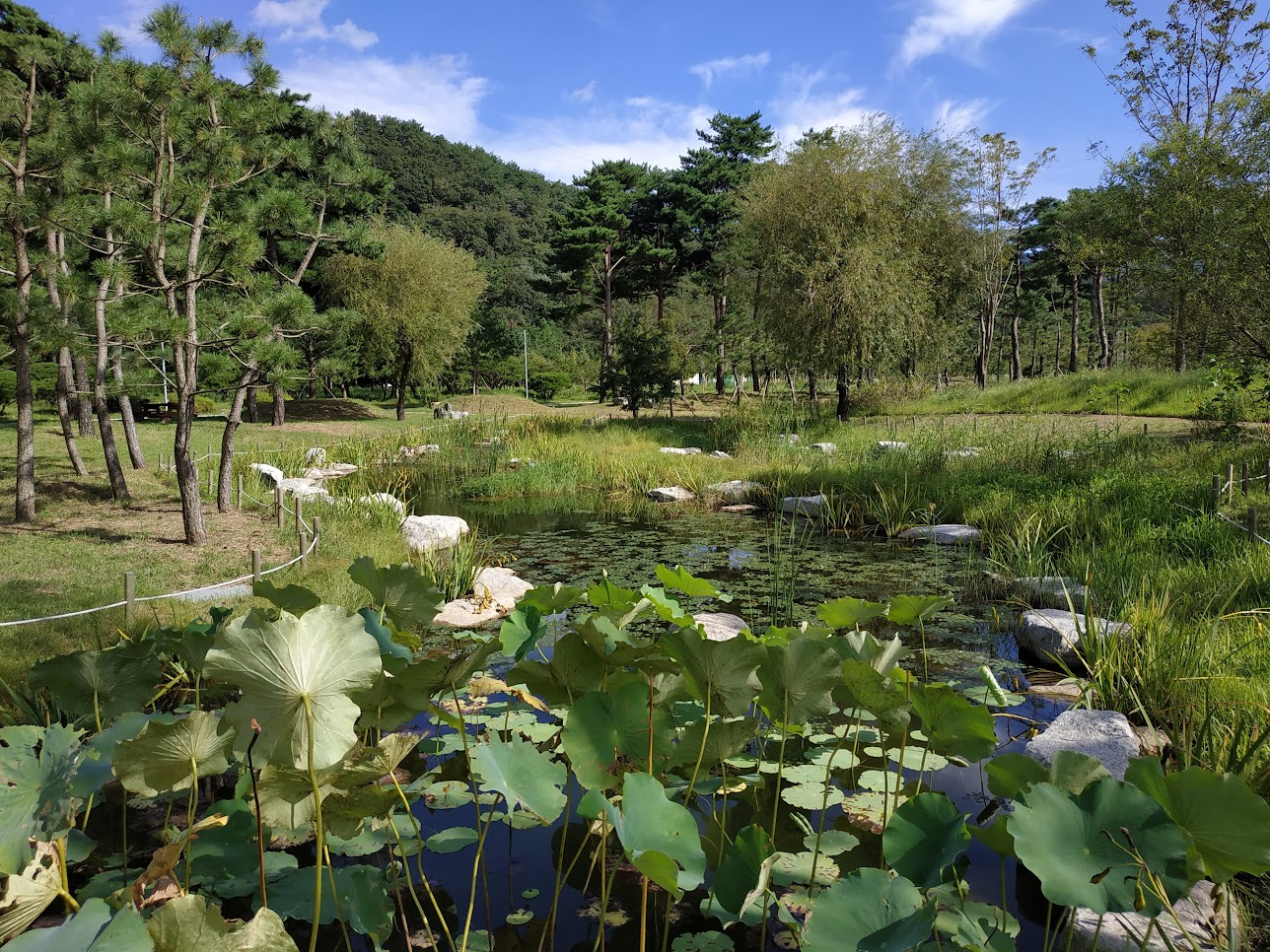 해운대 수목원. 연못