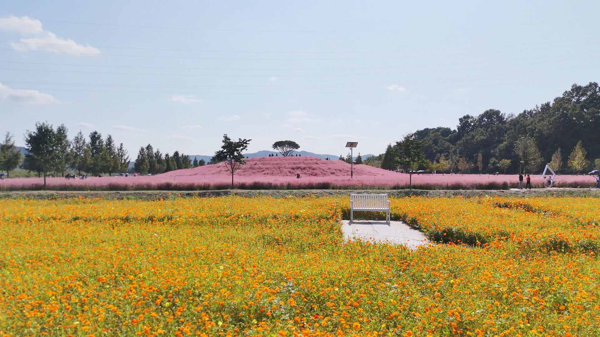 신소양체육공원