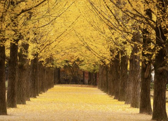 대한민국 숙박세일 페스타 꿀정보 모음