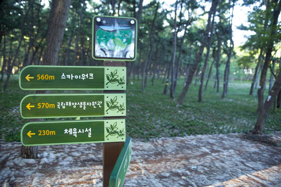 서천 장항 송림산림욕장 스카이워크